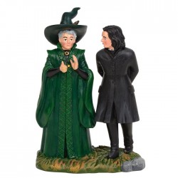 Professor Snape and Professor Minerva McGonagall